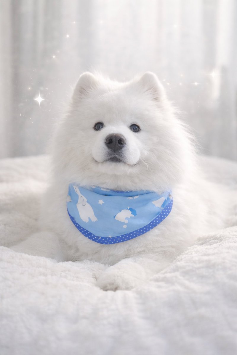 このツイートをタップしても縦長にはなりませんが可愛いので載せます。