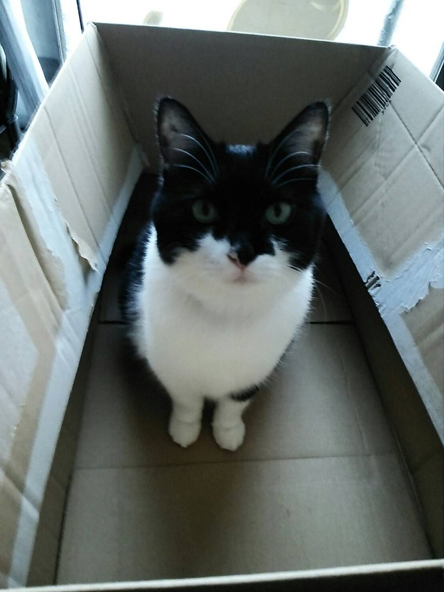 まりん tweet media