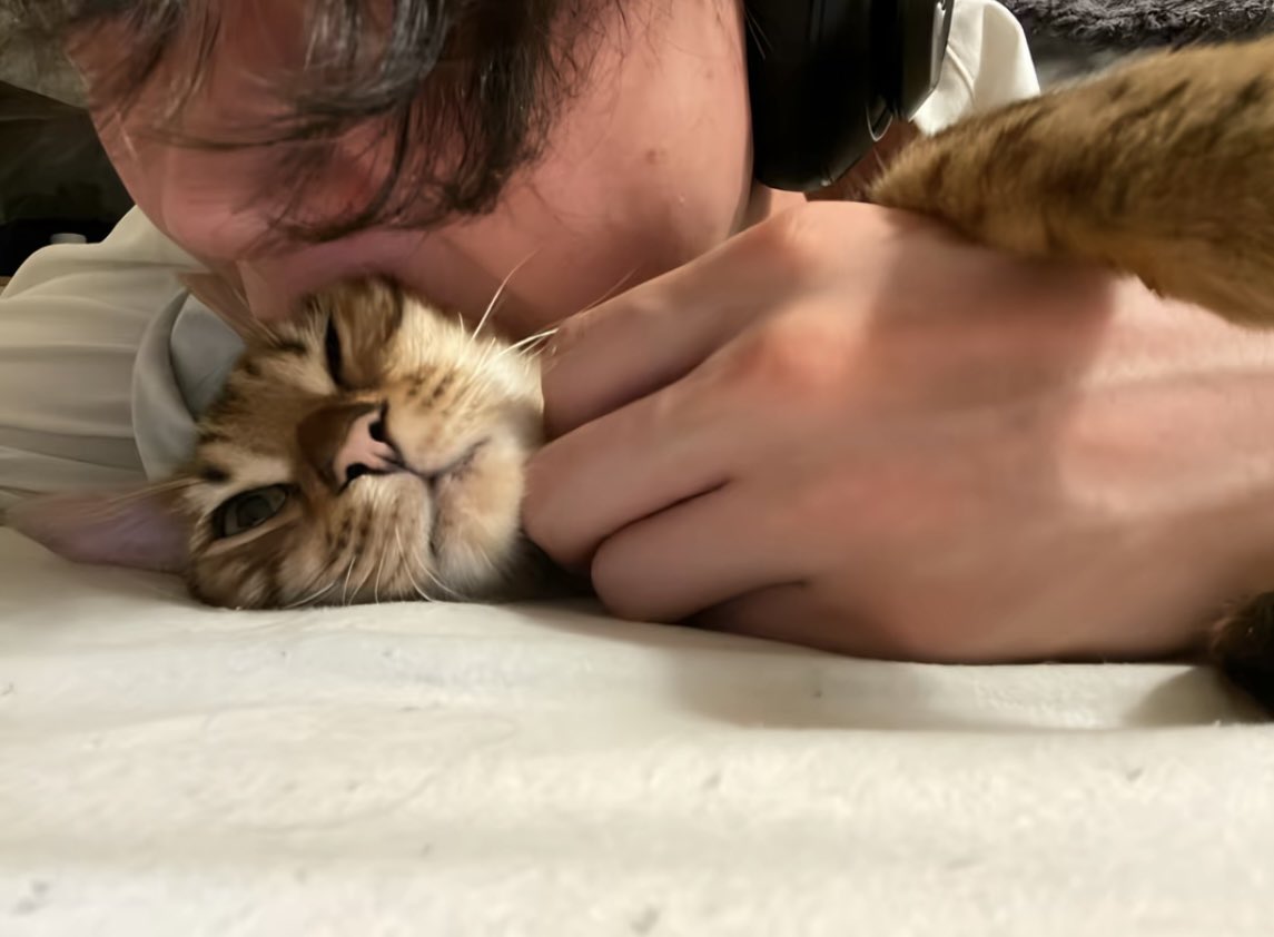 kat3chu's tweet image. 자꾸 고양이를 드심 (진짜)