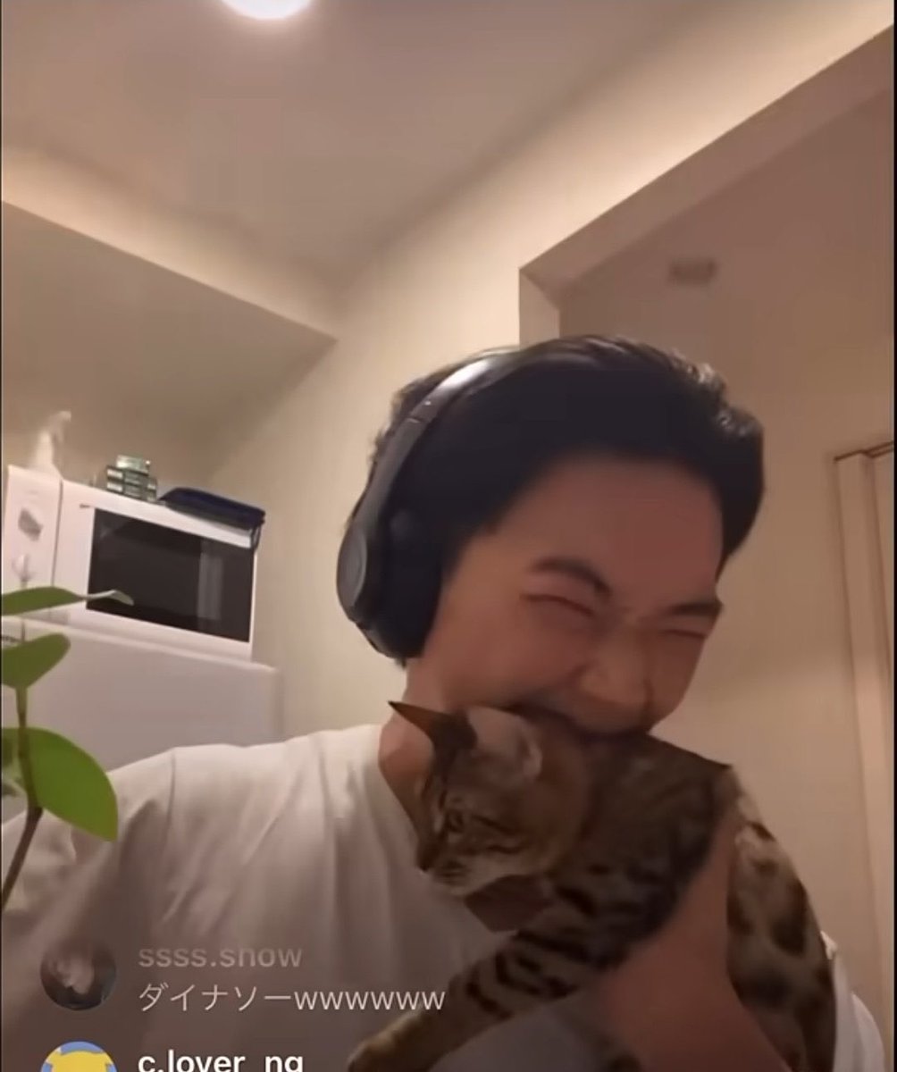 kat3chu's tweet image. 자꾸 고양이를 드심 (진짜)