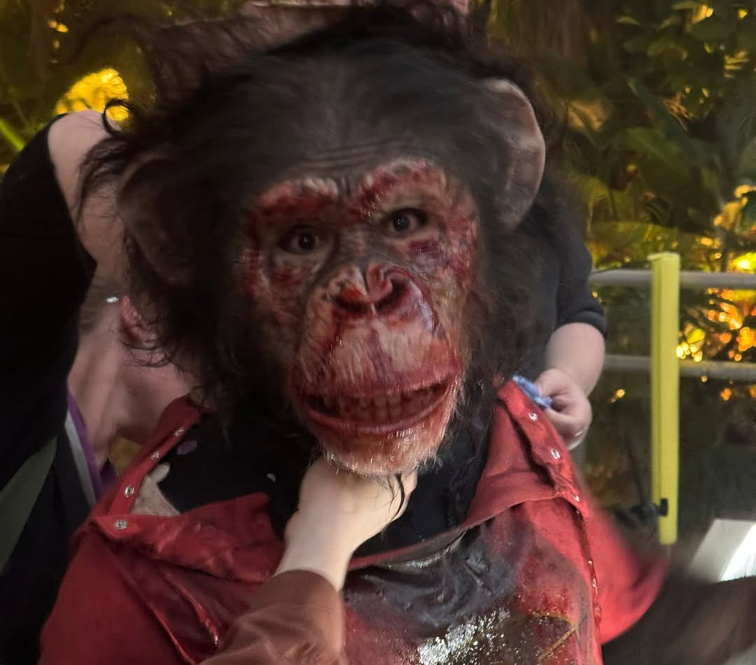 S1LNTHLL's tweet image. practical over cgi ANY day