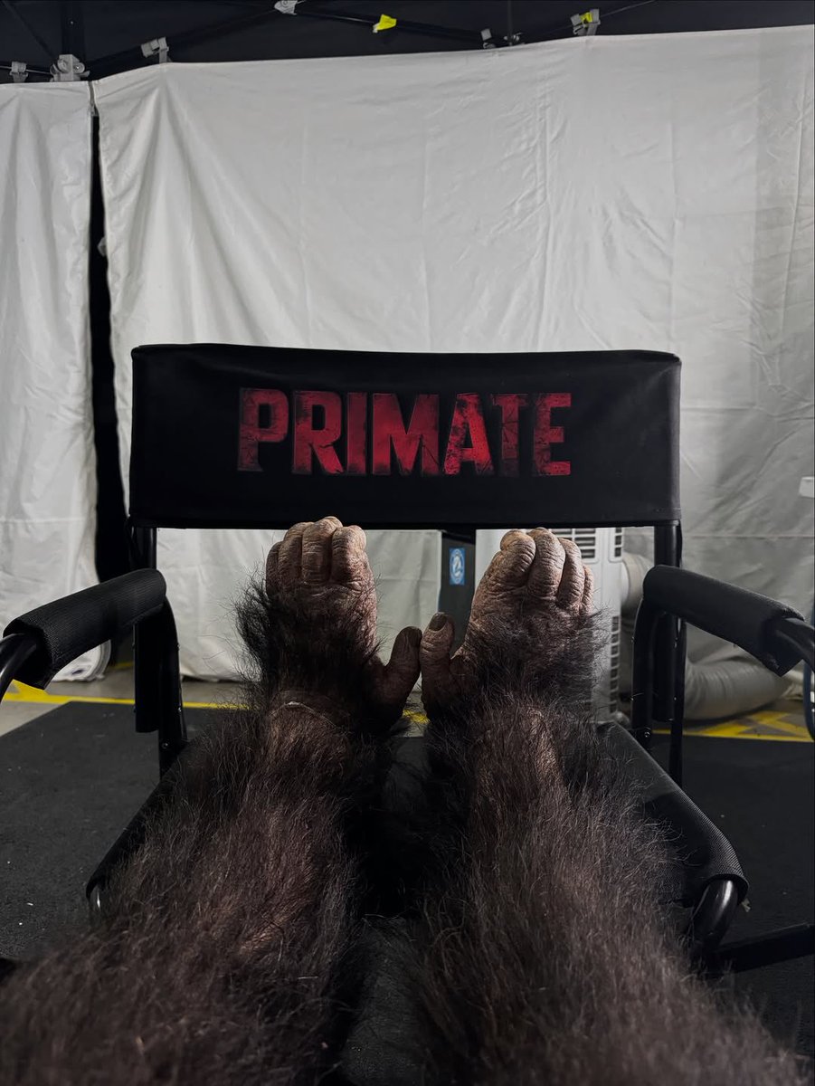 S1LNTHLL's tweet image. practical over cgi ANY day