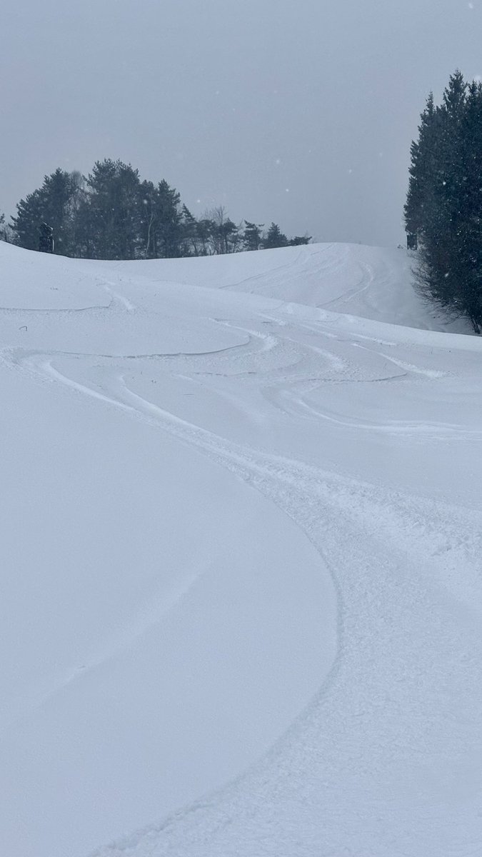 91emon's tweet image. snowboard薮原2026.1.13