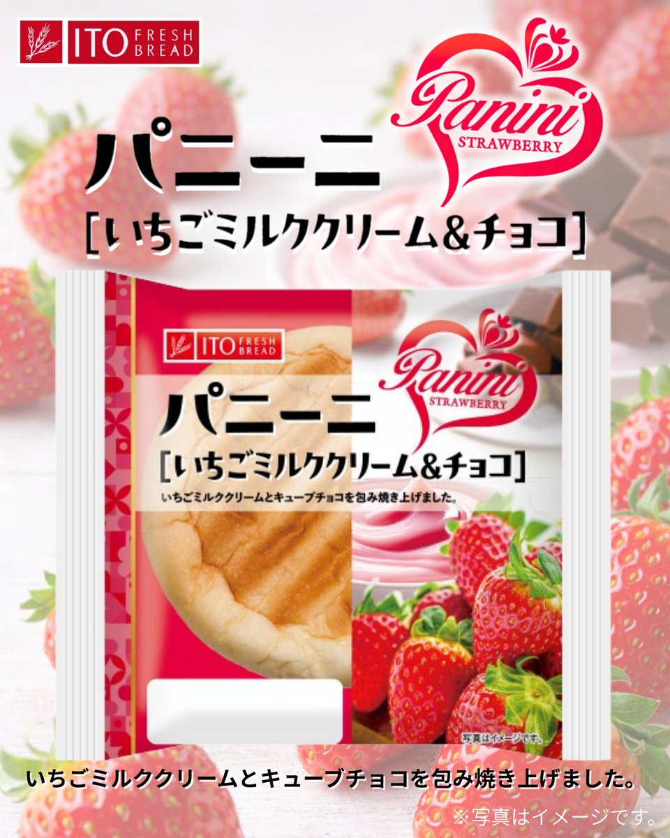 🆕#伊藤製パン 2月の #新商品 🍞

【パニーニ いちごミルククリーム＆チョコ】

いちごミルククリームとキューブチョコを
包んで焼き上げました🍓🍫

#パニーニいちごミルククリームチョコ は2月1日発売！
お近くの販売店でお買い求めください🤤