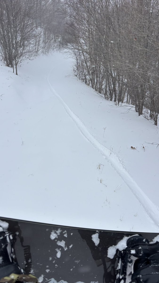 91emon's tweet image. snowboard薮原2026.1.13