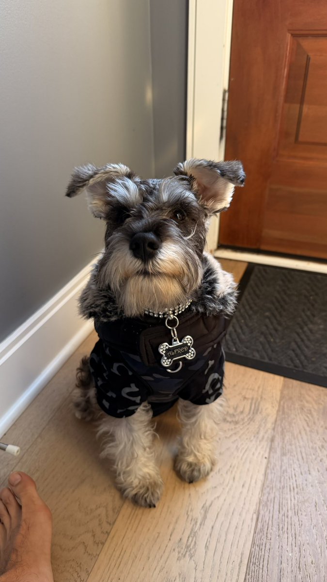 Tommy Allen 𐚁 tweet media