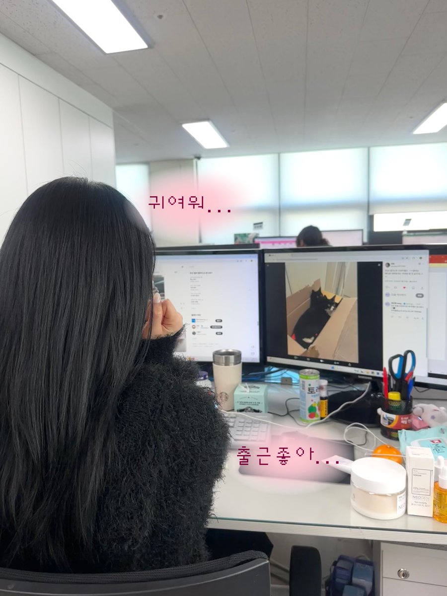 네오젠 neogen_official tweet media