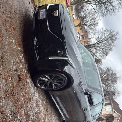 KEVIN 🏋️🏌🏻🌹 tweet media