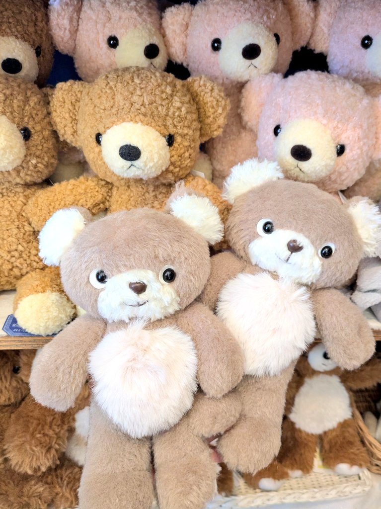 とっても可愛い🥺💗