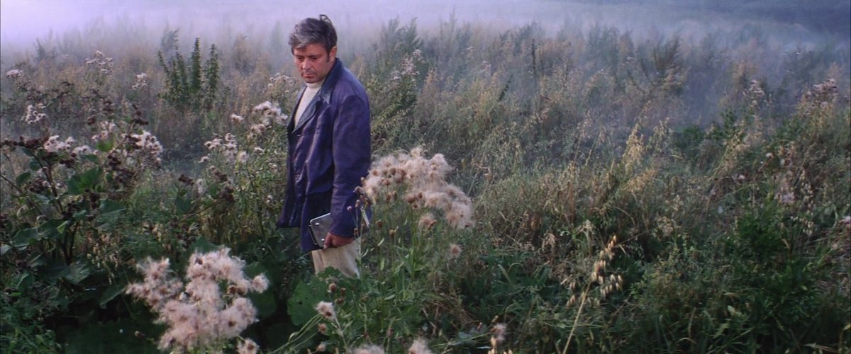 sovietcine's tweet photo. Solaris (1972), dir. Andrei Tarkovsky