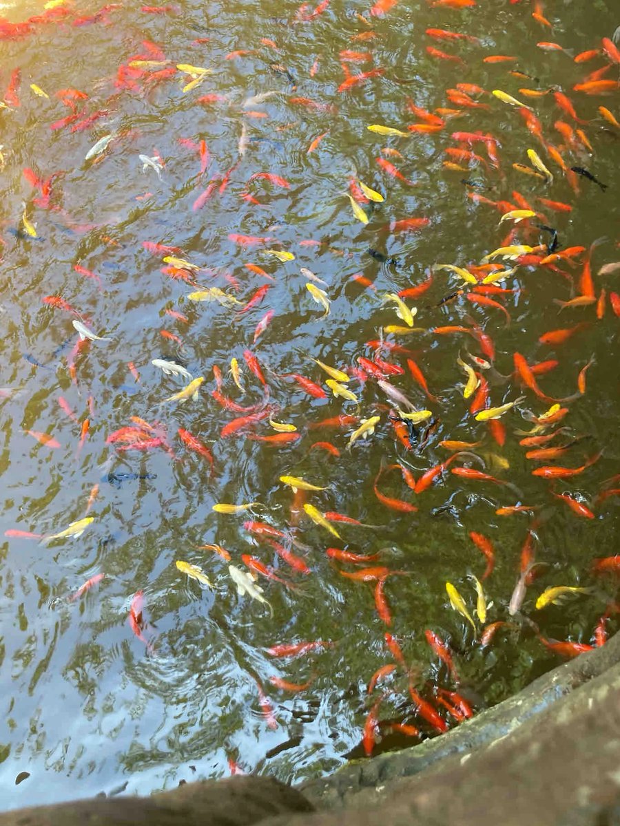 nurie_ruby's tweet image. いい意味ですね。