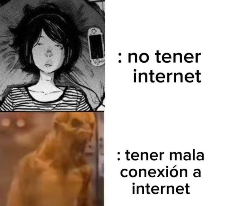 SrLuchoPortuano's tweet image. 