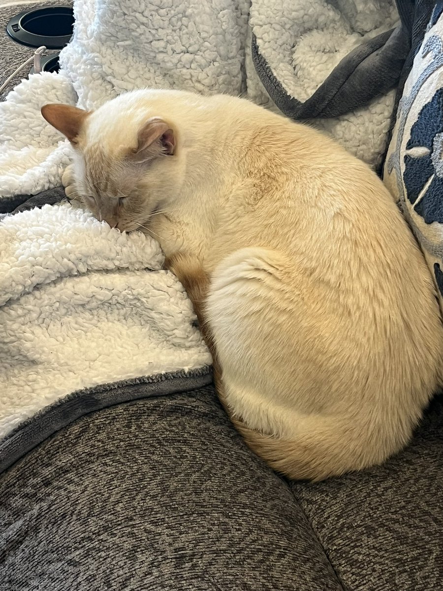 ItsCardiff's tweet image. 