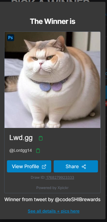 CODESHIB.COM tweet media