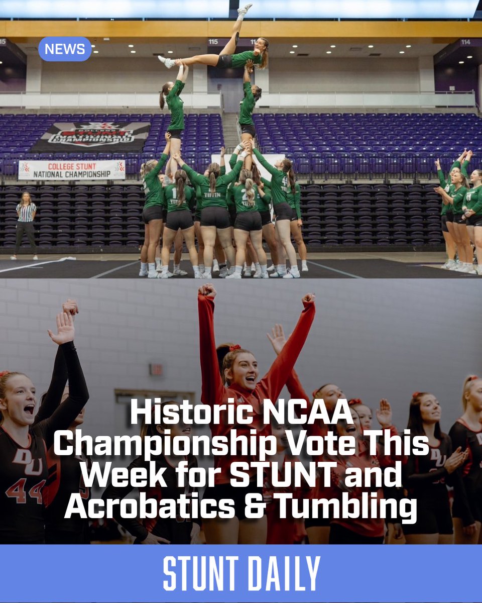 Stunt Daily tweet media