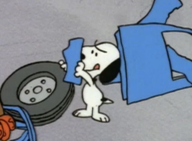 me pretending to know what i'm doing