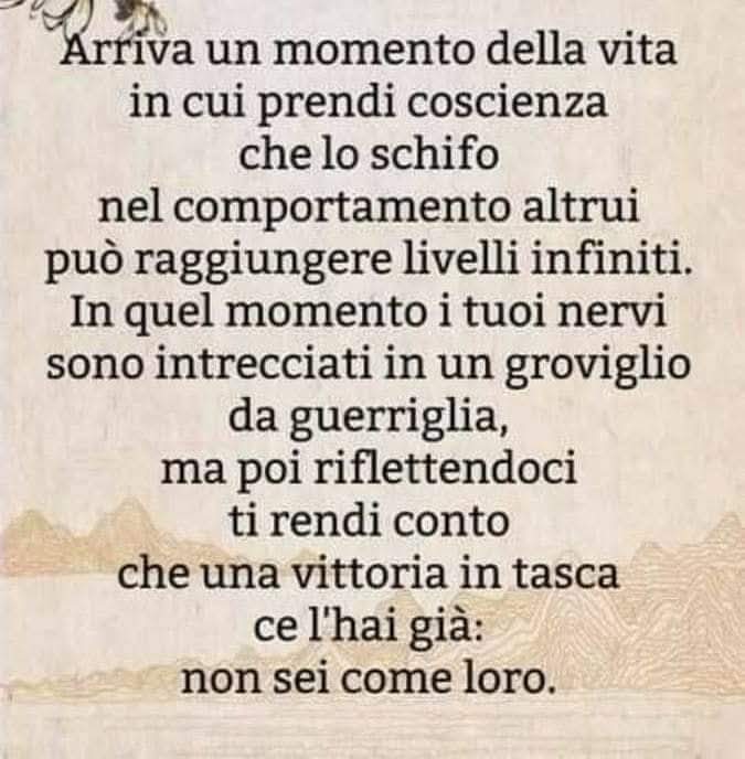 AldoStrippoli3's tweet image. Buongiorno a tutti.