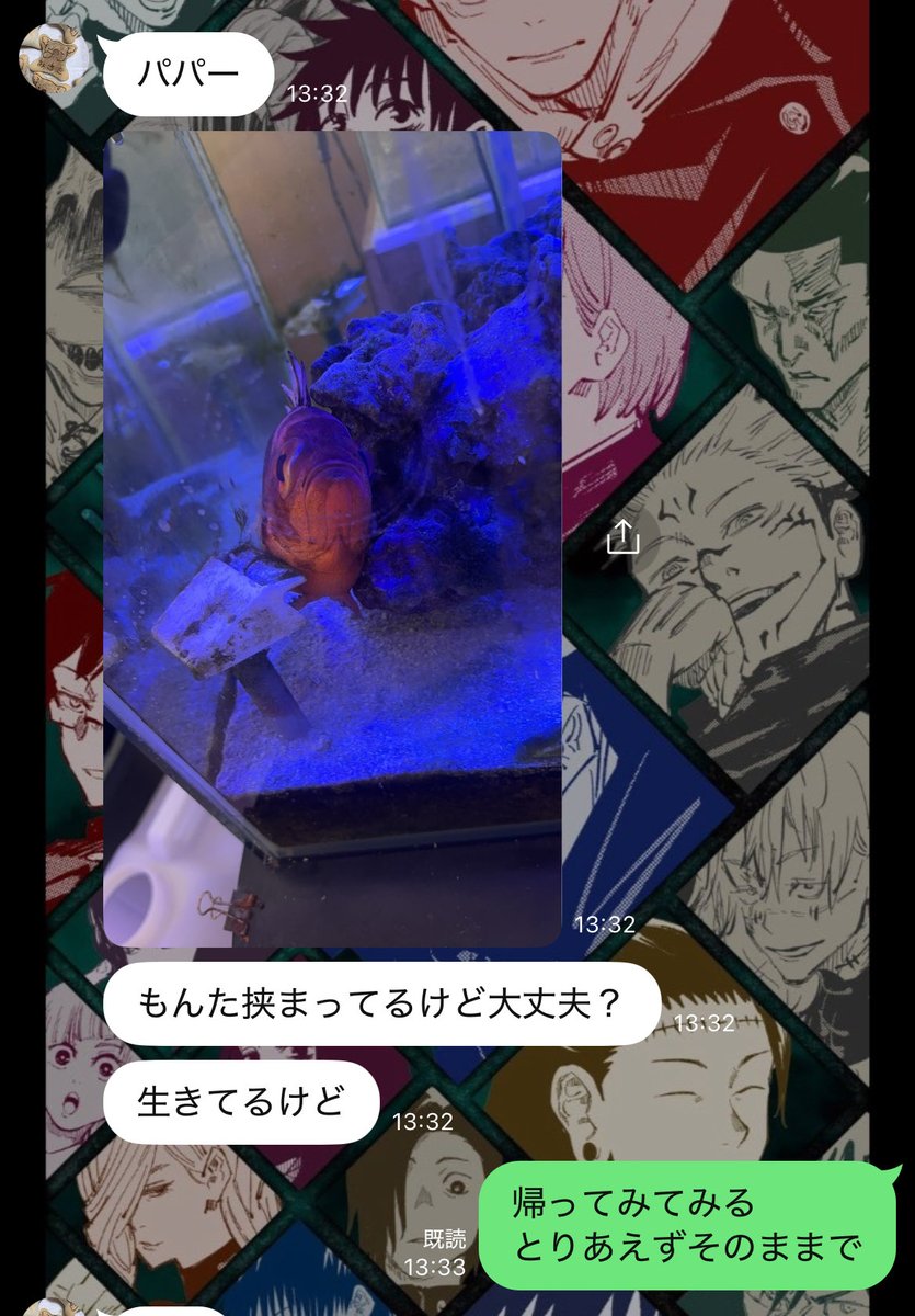クロ猫 (@Rexs_rabbit) / Posts / X