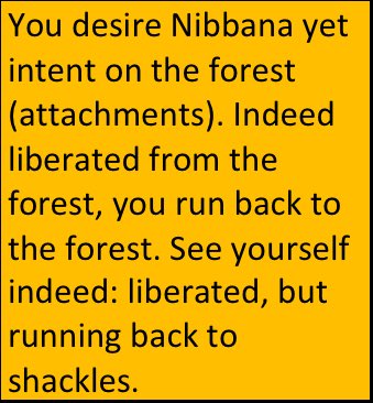 DhammapadaCom's tweet image. The Dhammapada, verse 344: