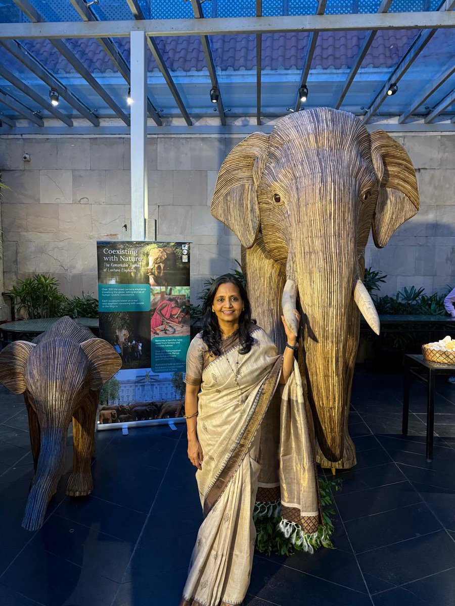 supriyasahuias's tweet photo. They are here again. They have arrived. From the misty mountains of  Gudalur, Nilgiris to the shores of Chennai, the Lantana Elephants have travelled far. Crafted by local tribal artisans from lantana, an invasive weed choking our forests, these elephants now stand tall as symbols of ecosystem restoration and biodiversity conservation in Tamil Nadu. Catch them at the Blue Beach, Marina, during the Pongal holidays. Thanks to @chennaicorp & @kgbias for making this possible #lantanaelephants @therealeleco