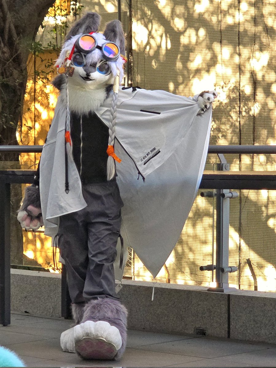 貓貓羽🔜UTFG2026 tweet media