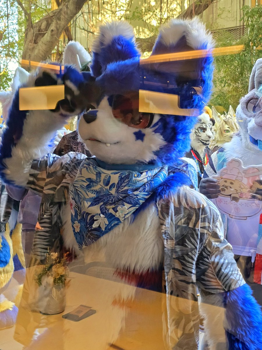 貓貓羽🔜UTFG2026 tweet media