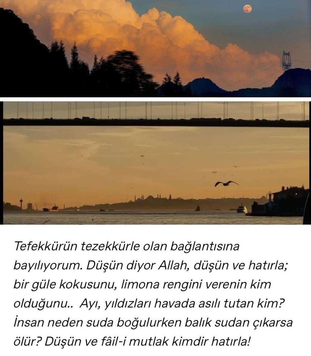 <a href="/Asyaiek18/">AsyaÇiçek</a>