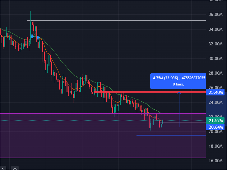 Felife_X7's tweet photo. ngl 2 chart looks cool here
$WOJAK and $KERMIT

imo a big green candle will form on wojak soon (but also 16m touching possibilities there)
DCA here could be a nice move

we talked about kermit yesterday and it played well, but there were also a support and it swept

new plan. https://t.co/QsElqdYYvr