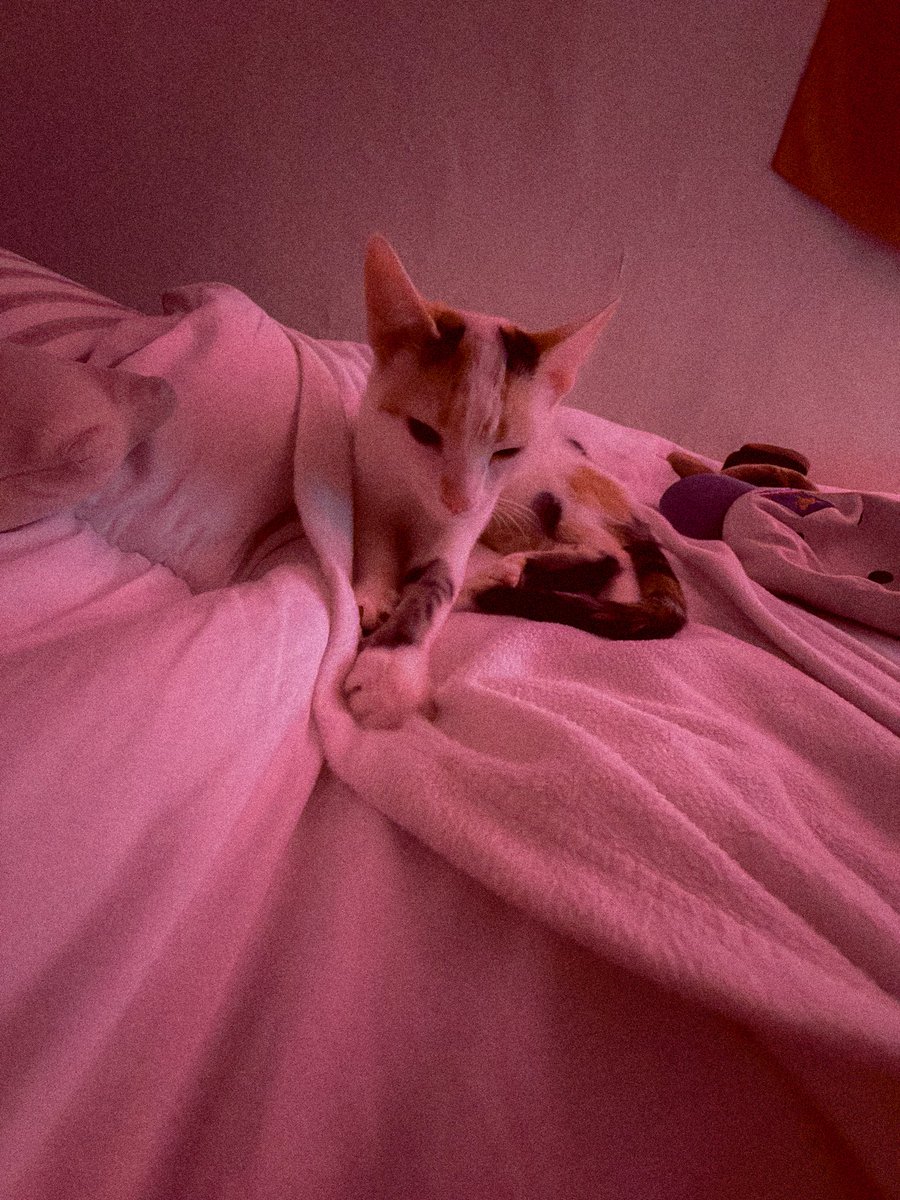 adottjohn's tweet image. i am now a father 🌹