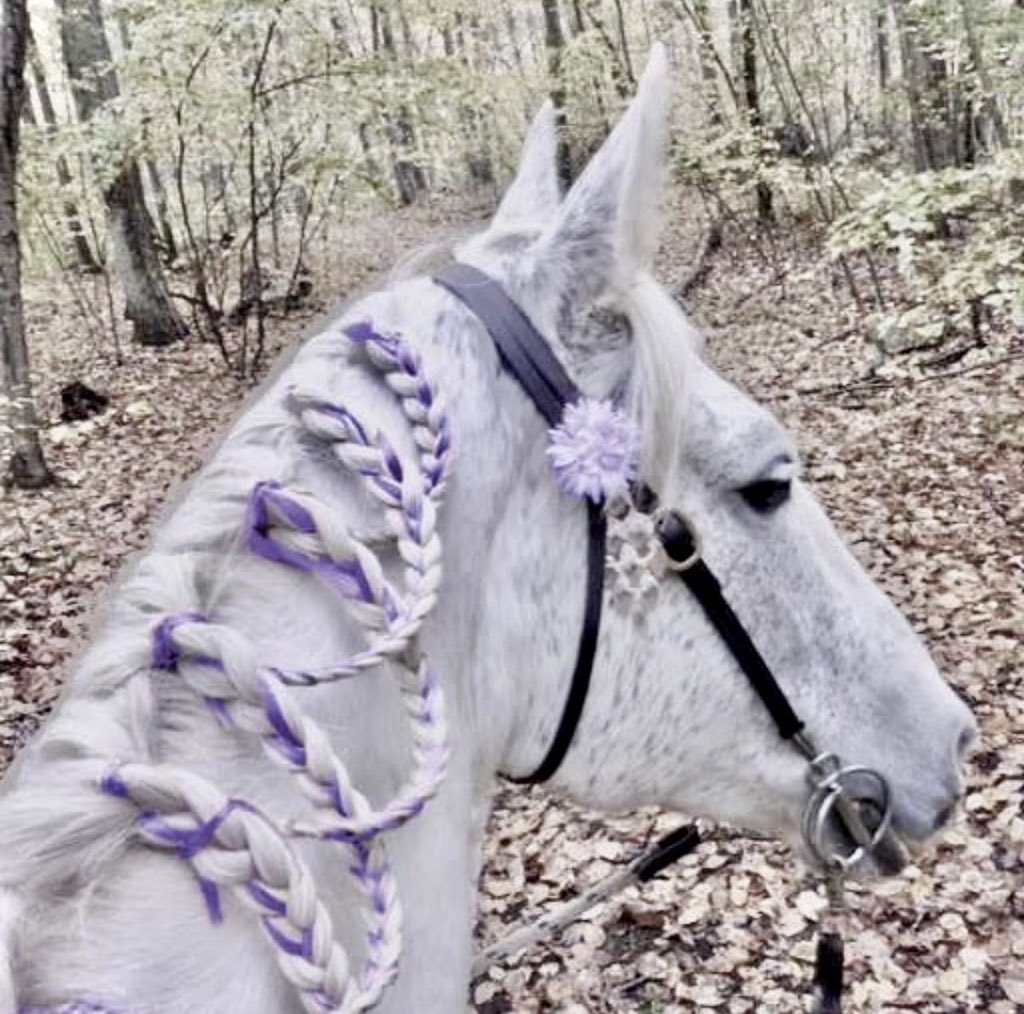 💜✨الحمدلله دائماً وأبداً الحمدلله حتى يبلغ الحمد منتهاه ✨💜