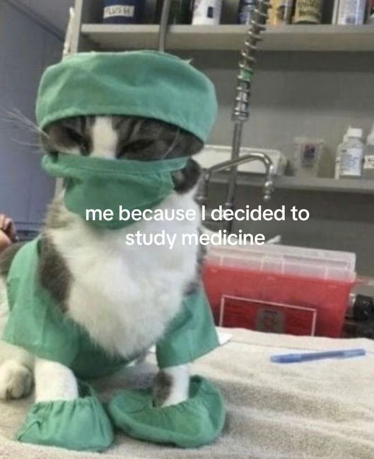 studywithcst's tweet image. triste por minha viagem de ferias estar acabando e ansioso pra ter mais tempo pra me dedicar aos estudos, principalmente em fevereiro quando inicio meu curso presencial