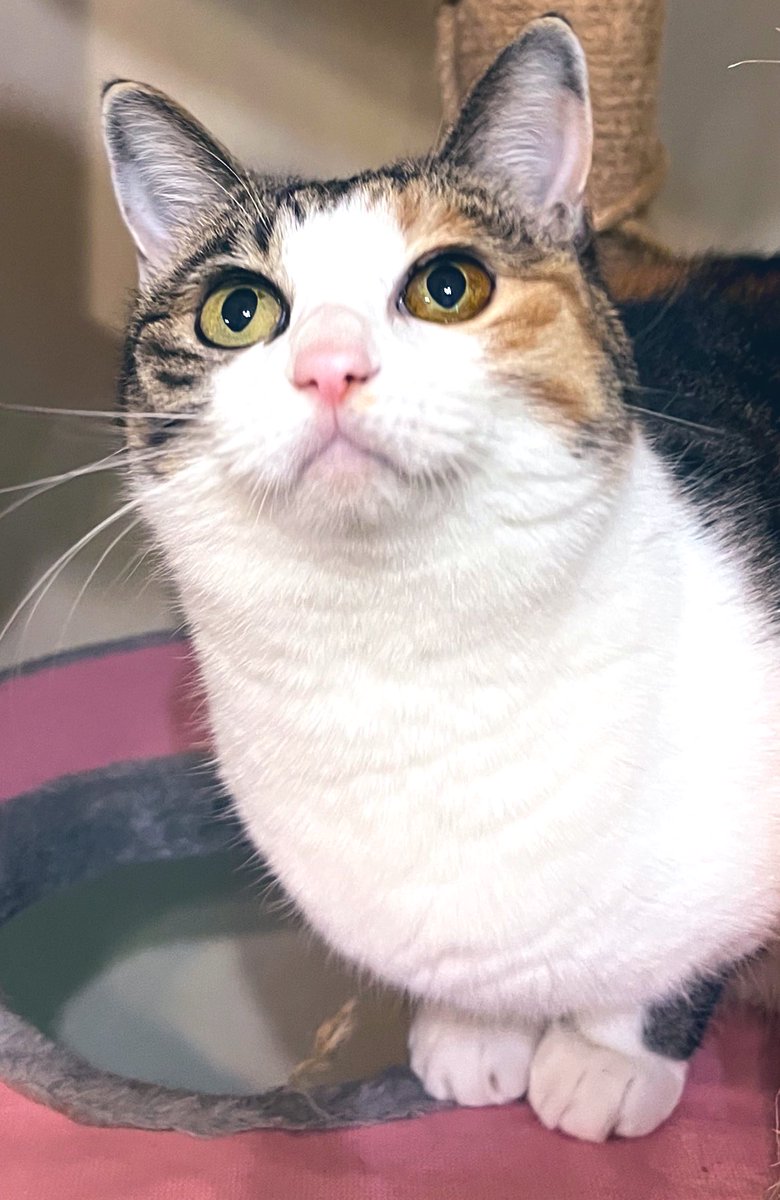 上に誰かいるのー