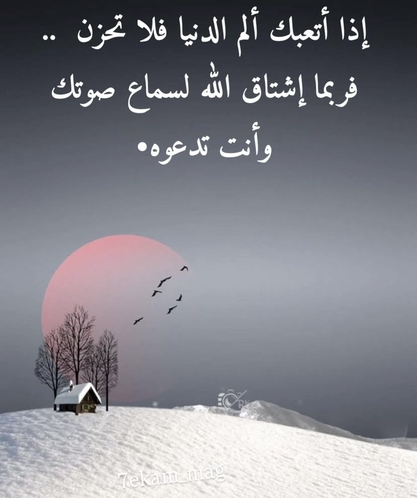 mzooash's tweet image. 