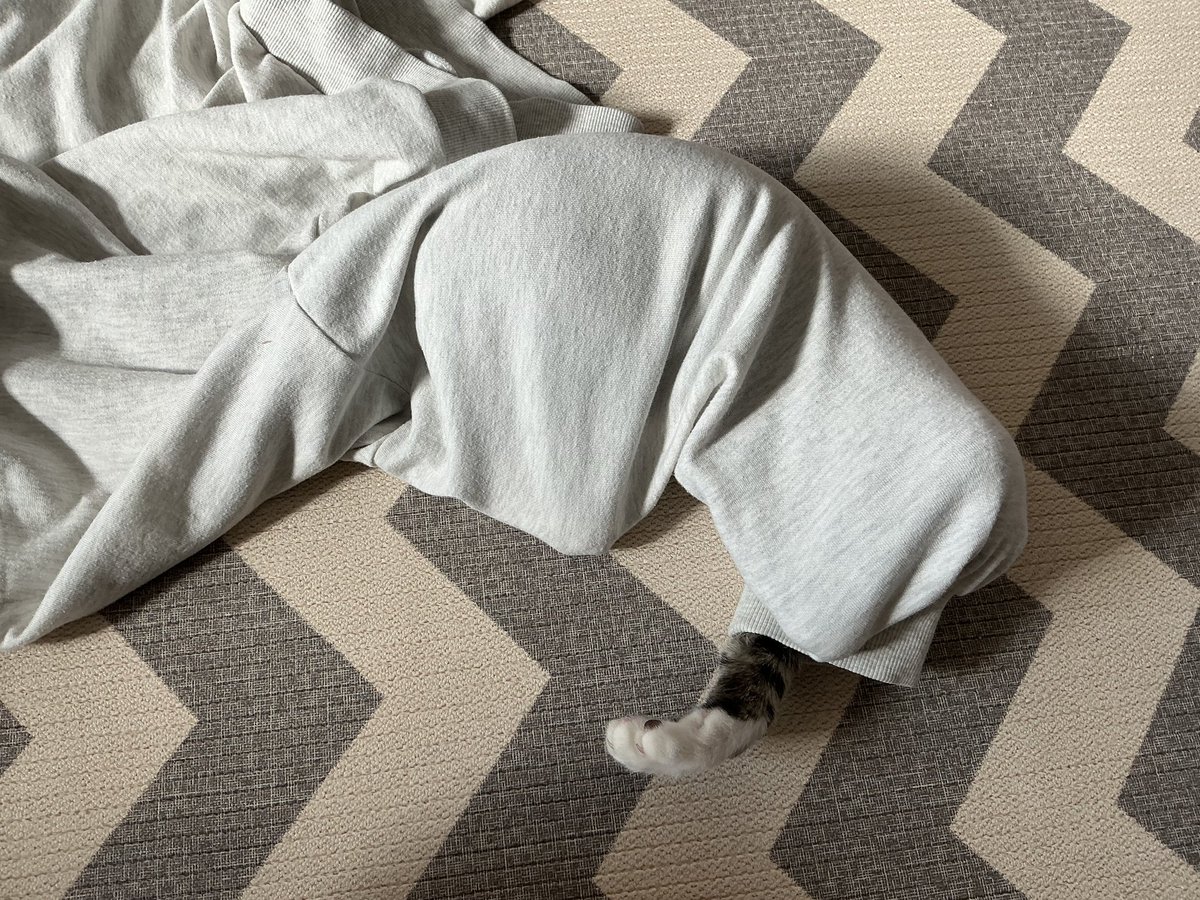 이단이 (@edan_299) on Twitter photo 