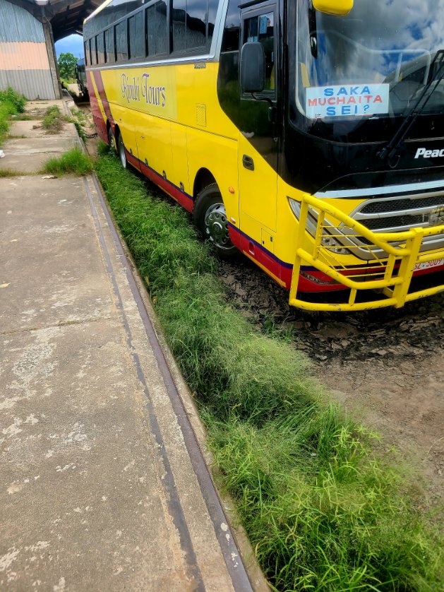 Beatonm5's tweet image. Saka muchaita sei?