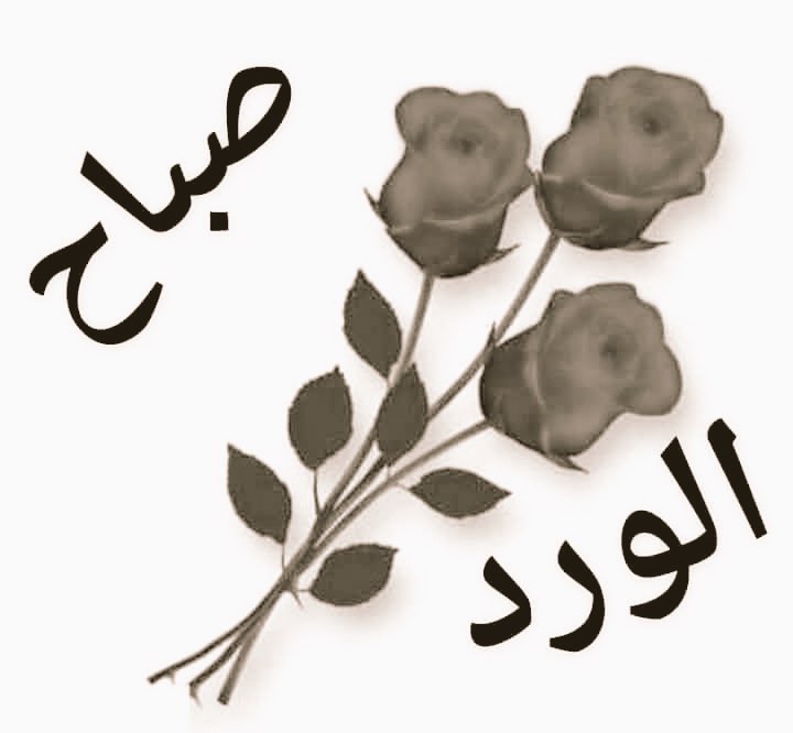 mooo01711311's tweet photo. 🌷🌹🌷 https://t.co/0IKM3MeIs1