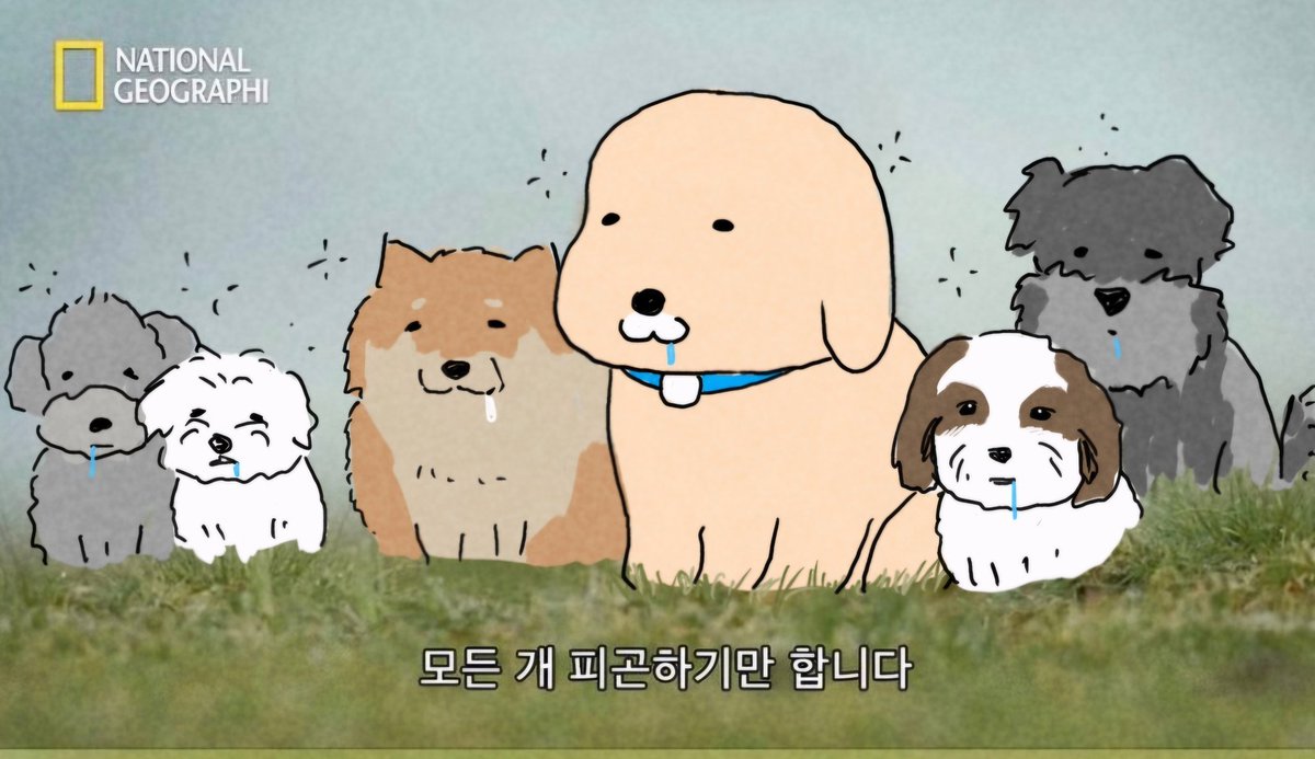 남씨 (@namsee09) on Twitter photo 