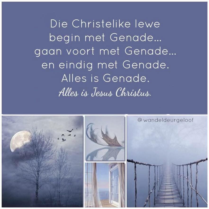 noentry54's tweet image. Goeie more! Geseënde Dinsdag!