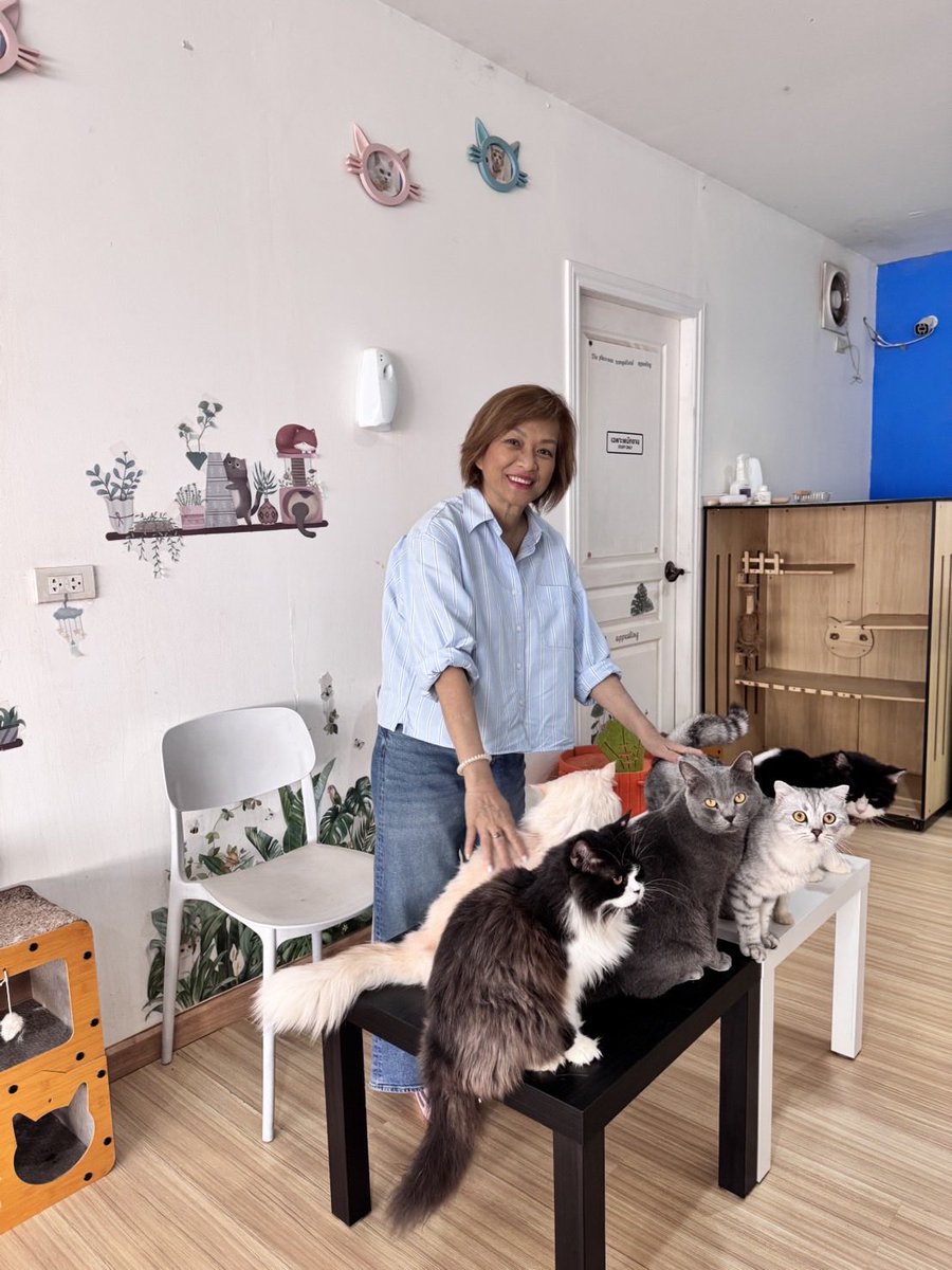 justcatcafe's tweet image. ร้าน Just Cat cafe ขอขอบคุณ🙏คุณแม่ติ่ง(คุณแม่พี่เป๊ก ผลิตโชค)ที่ให้เกียรติมาใช้บริการที่ร้านของเรา “คุณแม่บอกว่าพี่เป๊กก้อเป็นทาสแมว ว่างๆจะชวนมาหาน้องแมวที่นี่” ยินดีต้อนรับและเรียนเชิญมาเล่นกับน้องแมวนะครับ
#เป๊กผลิตโชค