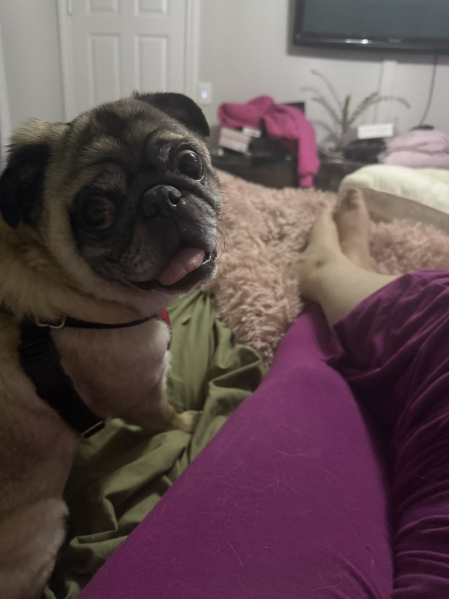 FiercelyNormal's tweet image. An unexpected houseguest.