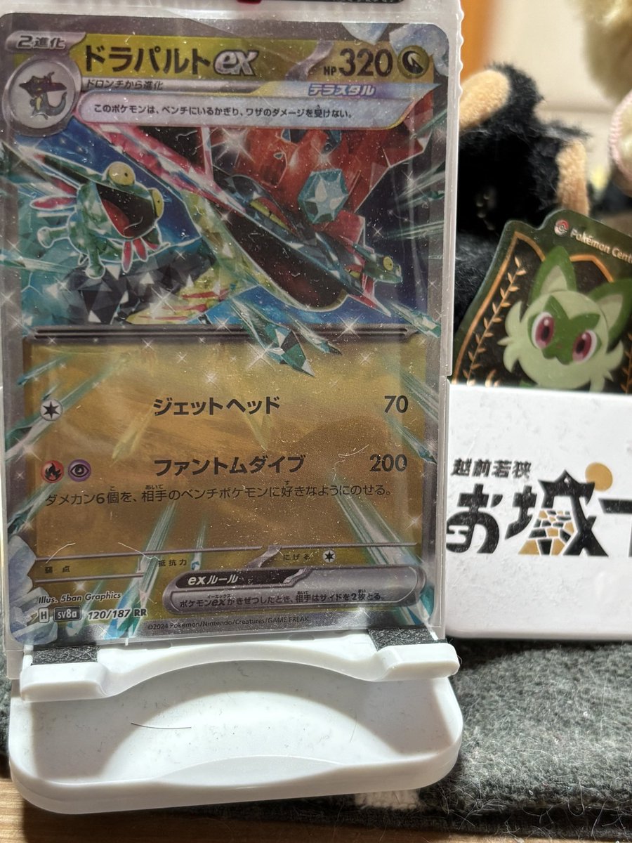 蓮🐰うさぎ屋🅿︎ (@buchixbuchi_co) / Posts / X