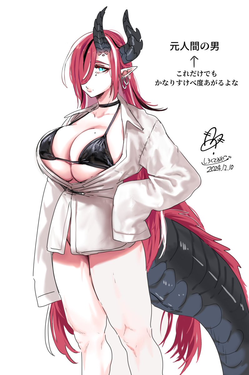 再掲OC
元ヒト♂ メス黒乳竜娘化 