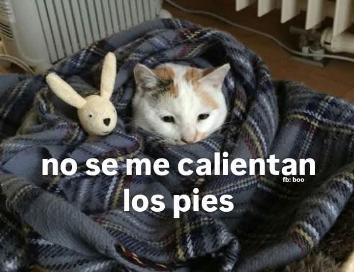 En Júpiter (@en_jupiter_) on Twitter photo 