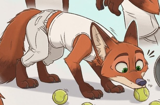 Crash - Coyote SIMP tweet media