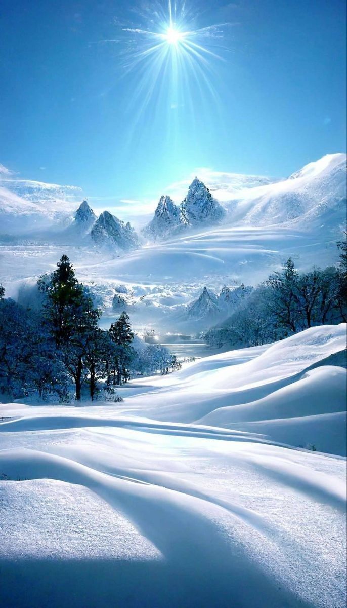 TLeoni311's tweet image. Good morning ❄️☀️