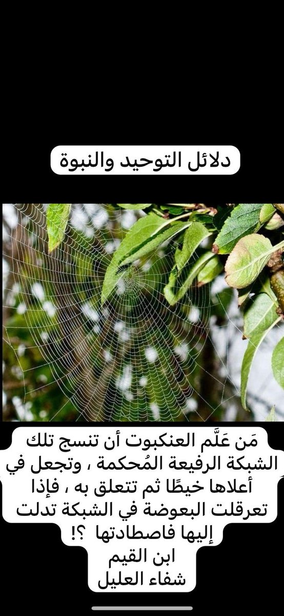 risaign's tweet image. 