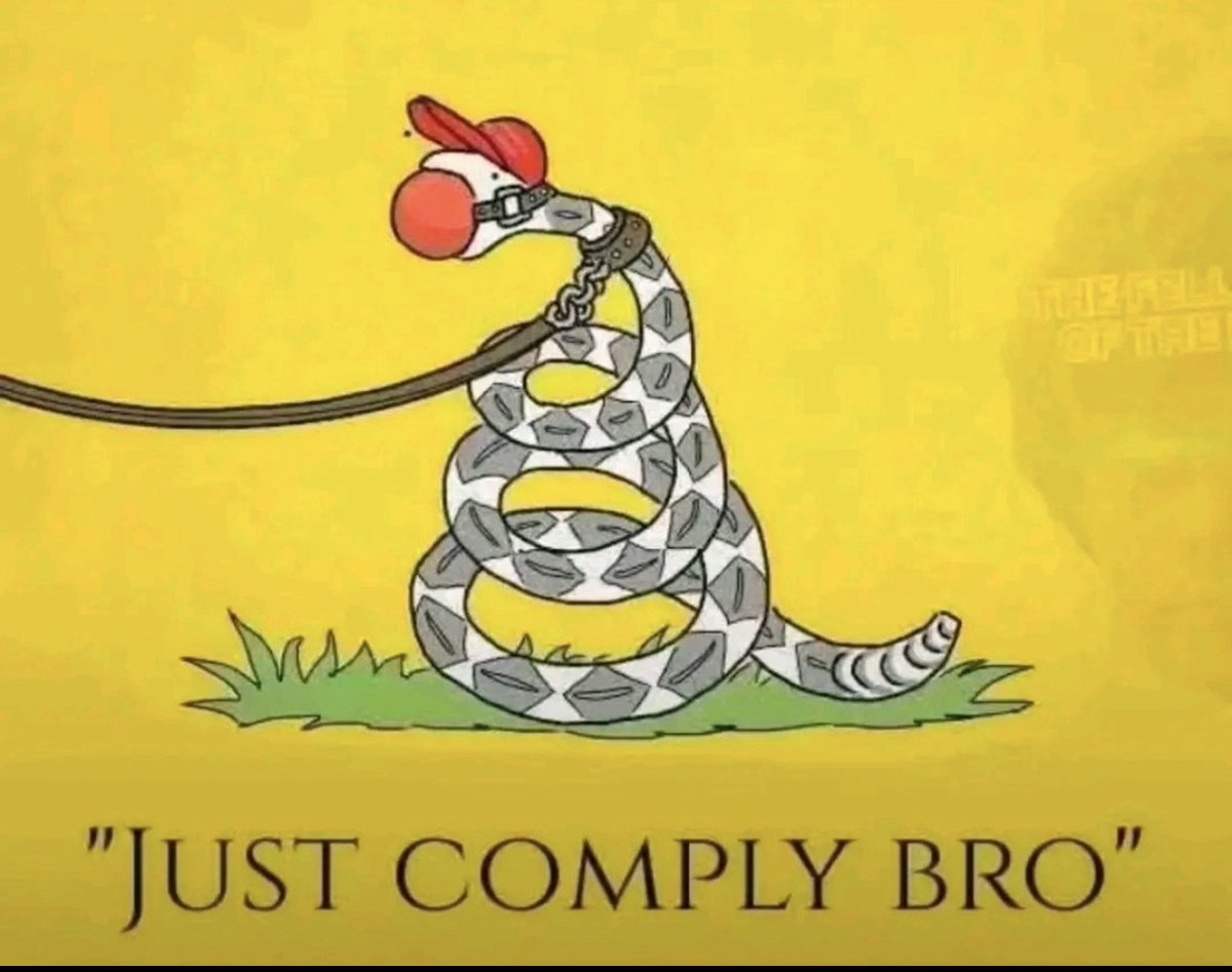 lut46895's tweet image. ICE are not police