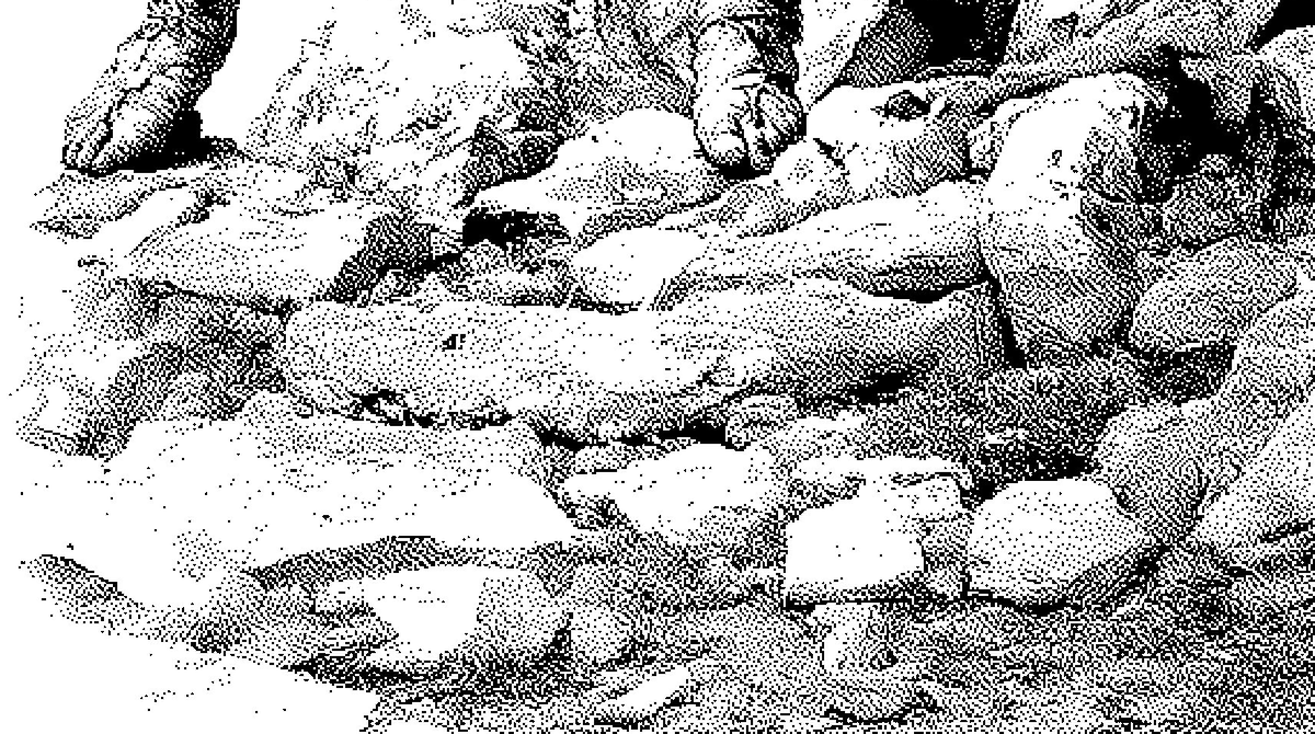 Swarm Network (@GetSwarmed) / Posts / X