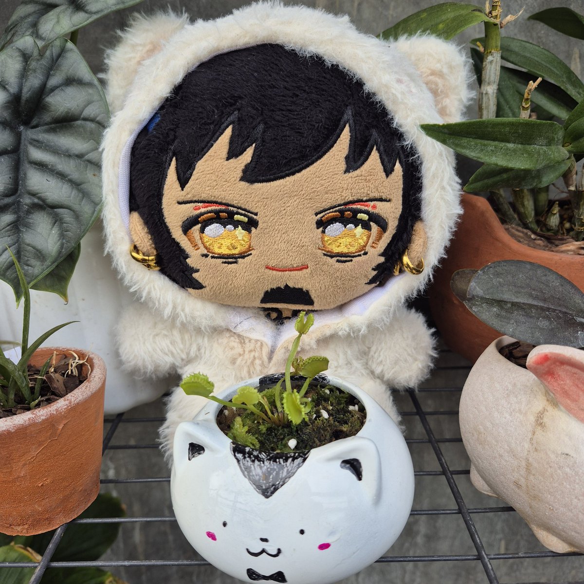 atty ✨ tweet media