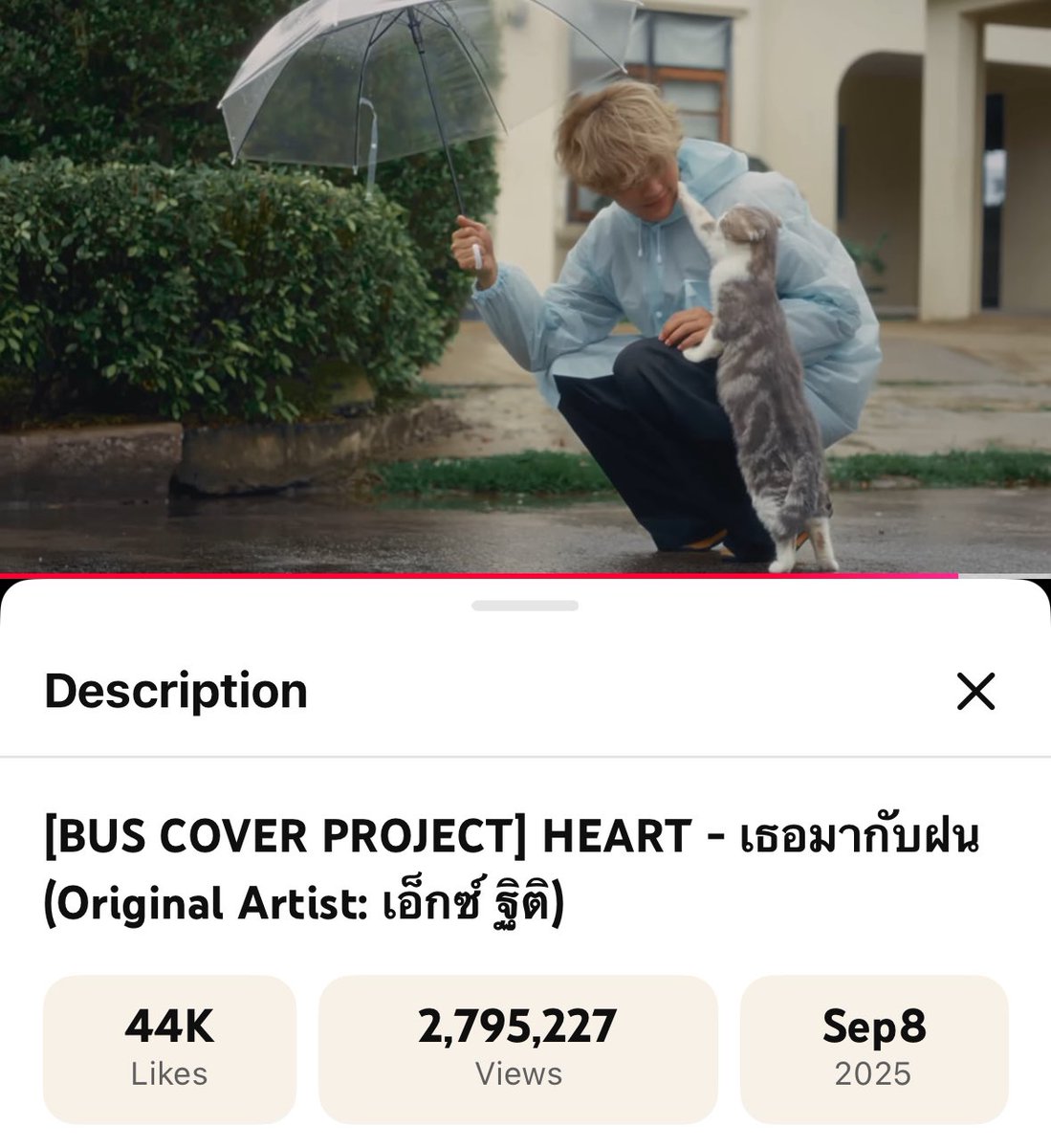 heartmeoaw's tweet image. พาเธอมากับฝนของน้องฮาร์ทไปสามล้านวิวกันเถอะ พร้อมปลดล็อกคุโระจิ้มแก้มสามล้านครั้งแย้ววว🥺♥️🥺♥️

@heartchuthiwat 
@hahaguguy 
@taddytadtad 
@sonraymusic 
@BUS_SONRAY 

#HEARTchuthiwat 
#HEART_เธอมากับฝน